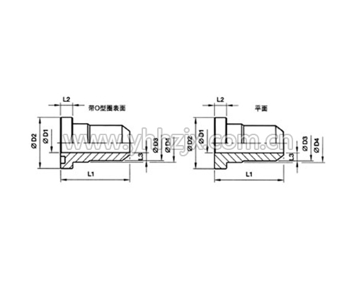 AS SAE直通法兰接头体